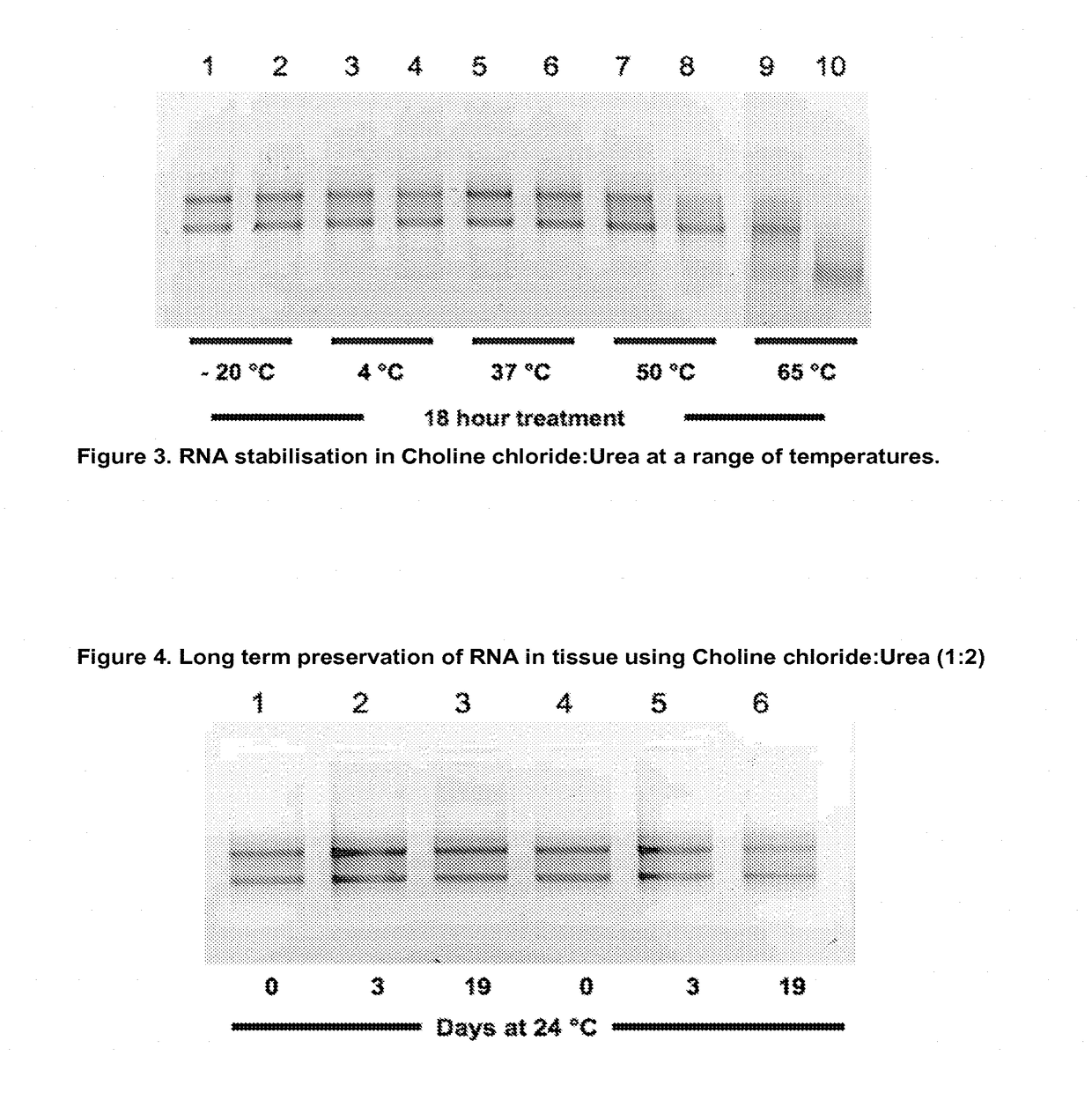 Sample fixation and stabilisation