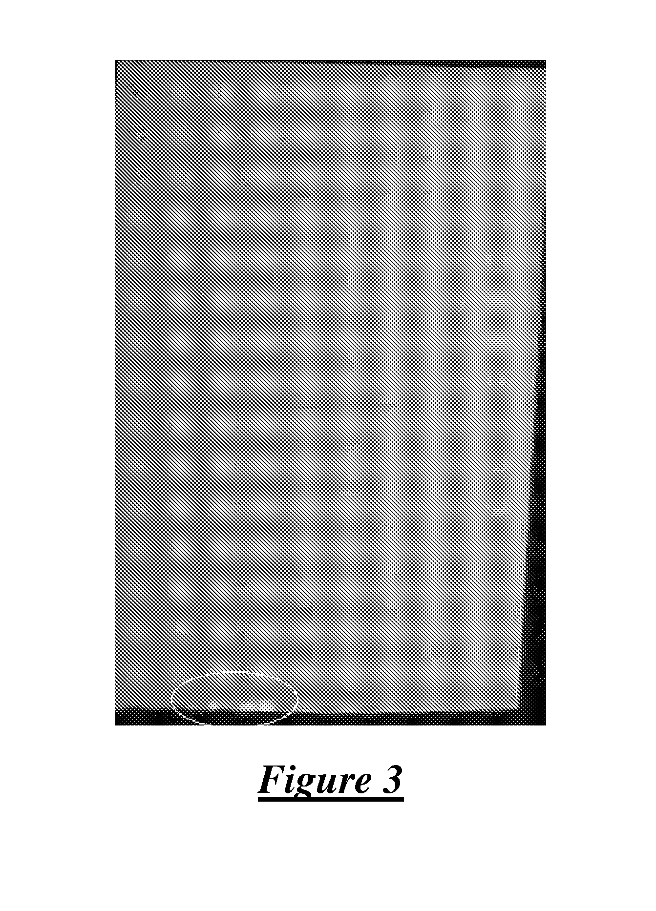 Pesticide Composition Having Improved Rainfastness