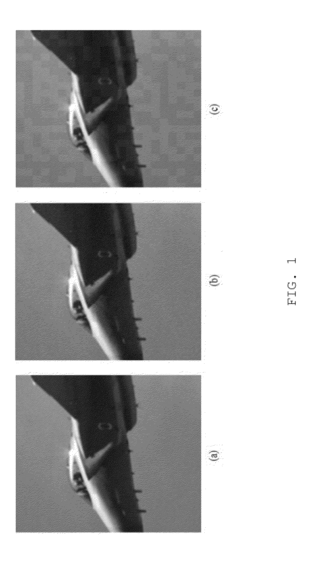 Composite masking system and method for improving invisibility of high-definition video watermarking