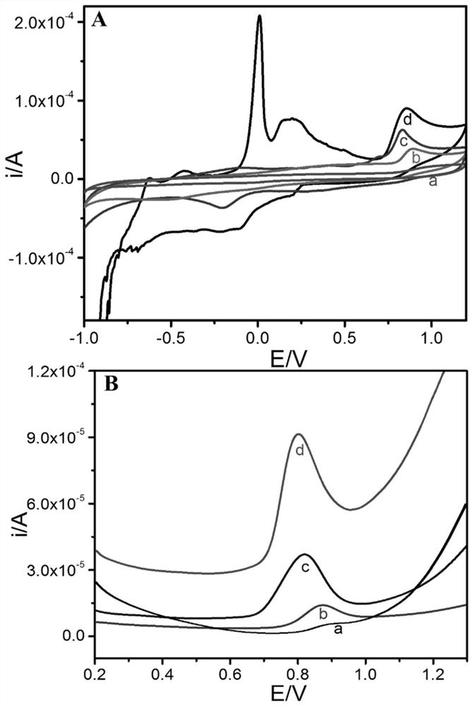 Nitrogen-doped graphene composite material supported by ag-cus core-shell microspheres, preparation method and application thereof