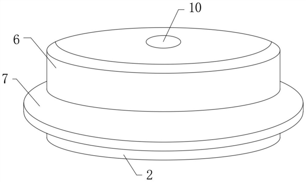 Electric porcelain insulator with bird repelling device