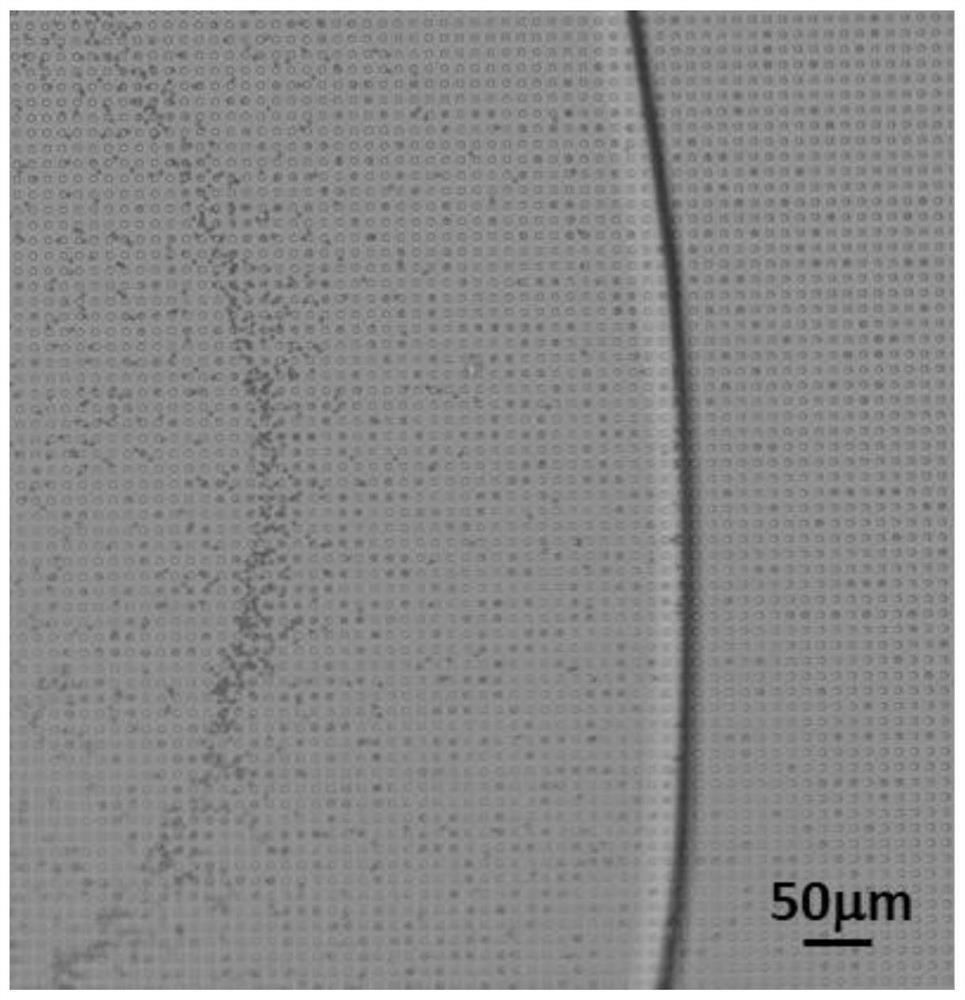 Ultrahigh-sensitivity protease digital detection method