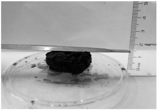 3D catalyst for catalytic degradation of organic pollutants as well as preparation and application of 3D catalyst