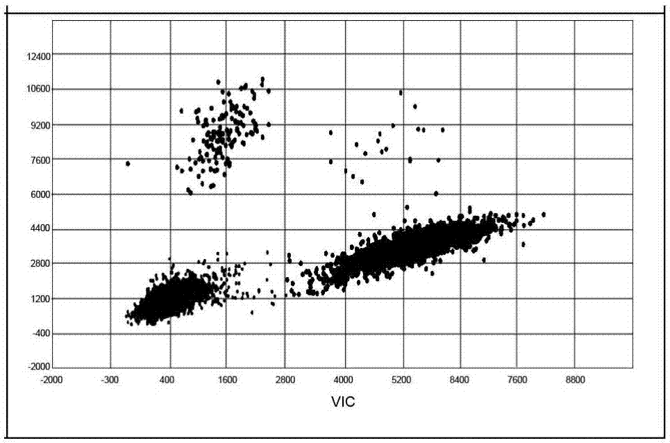 Primer probe composition, kit and method for detecting EGFR specific gene mutations through 3D (Three-dimensional) digital PCR (Polymerase Chain Reaction)