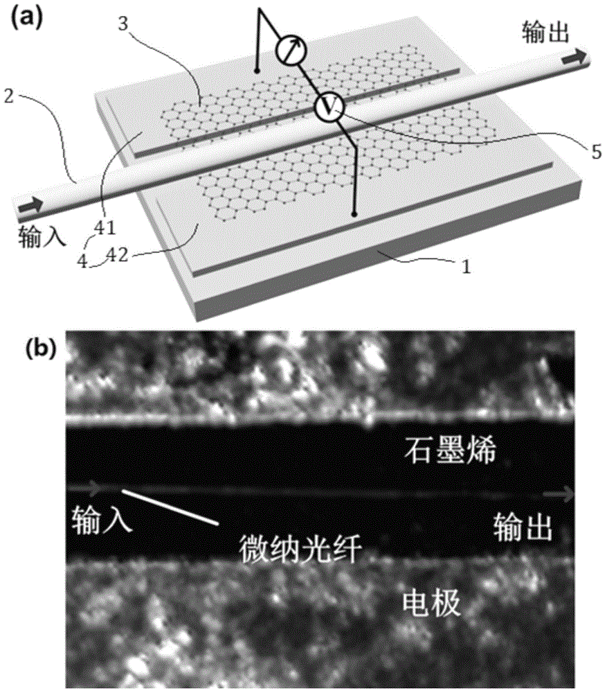 Micro-nanofiber structure based wide-spectrum graphene photoconductive detector