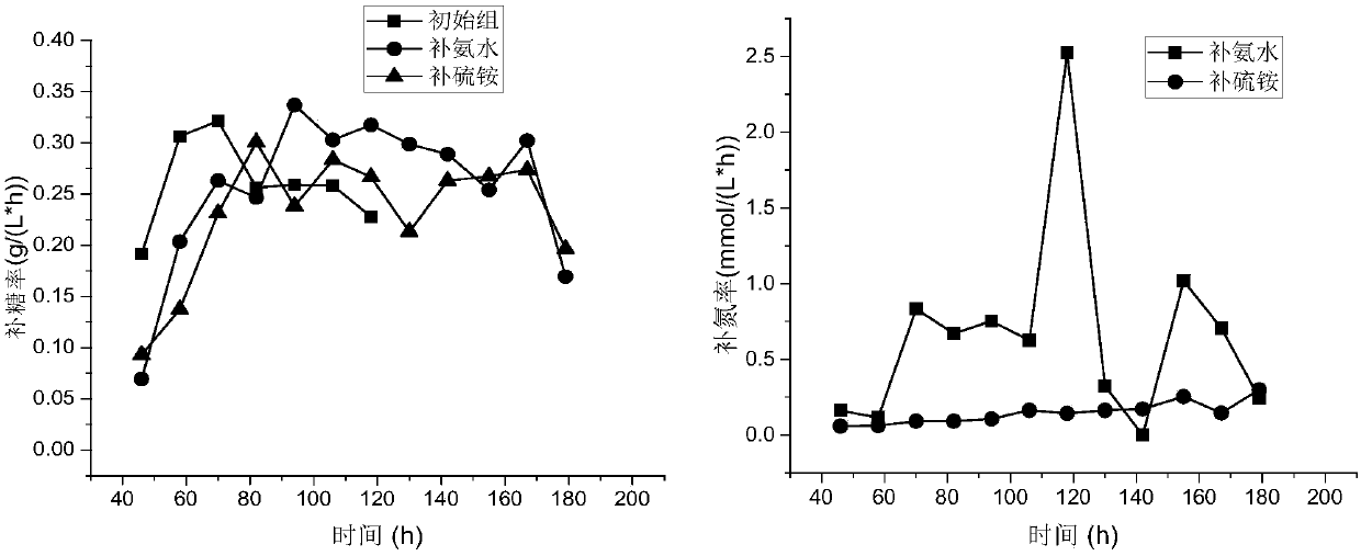 Novel method for fermentation production of erythrocin by utilizing saccharopolyspora erythraea