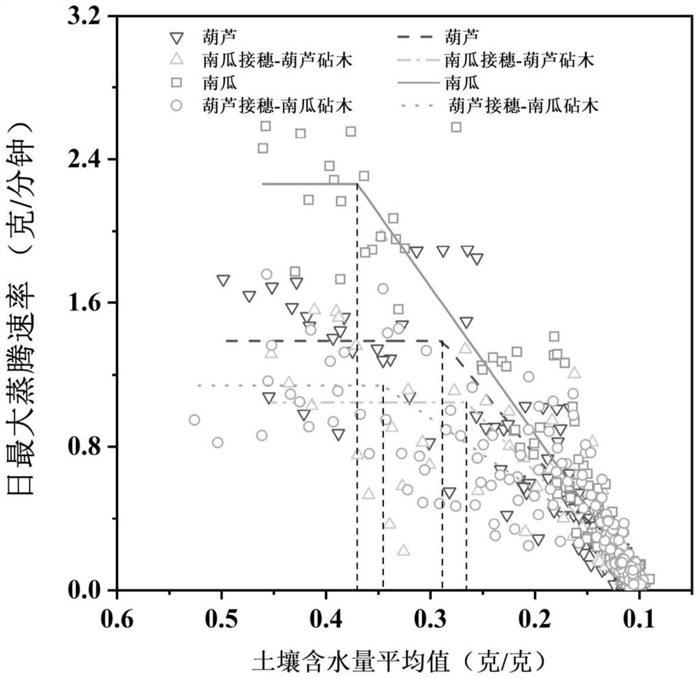 A method for quantitative analysis of the relationship between plant stomatal closure and root genotype using reciprocal grafts