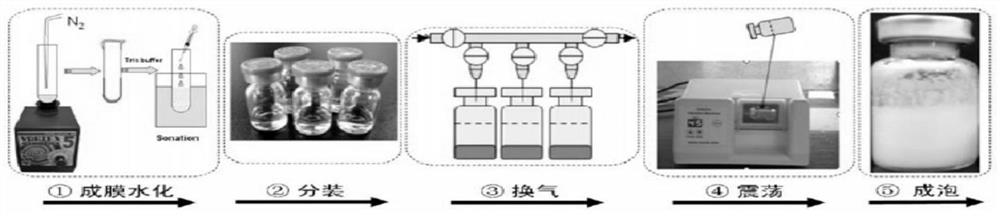 Ion channel targeted microbubble as well as preparation method and application thereof