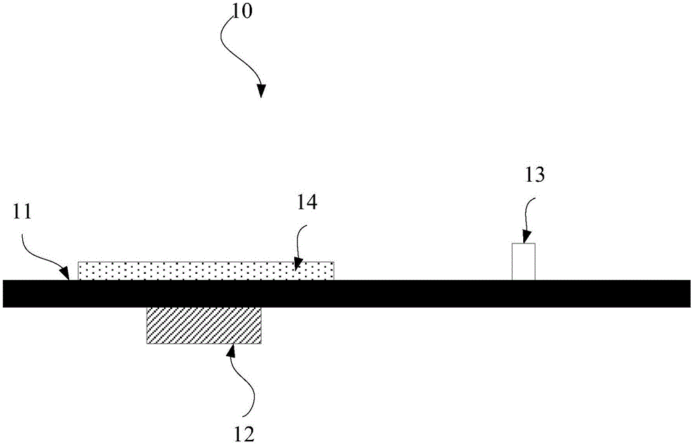 Display screen module and terminal