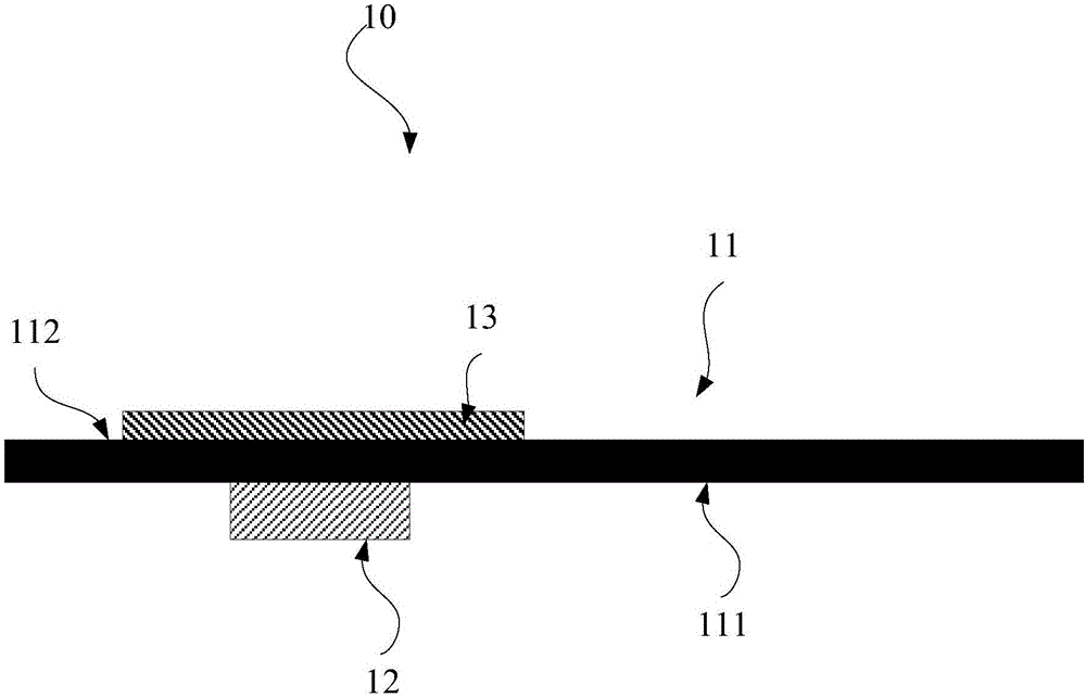 Display screen module and terminal