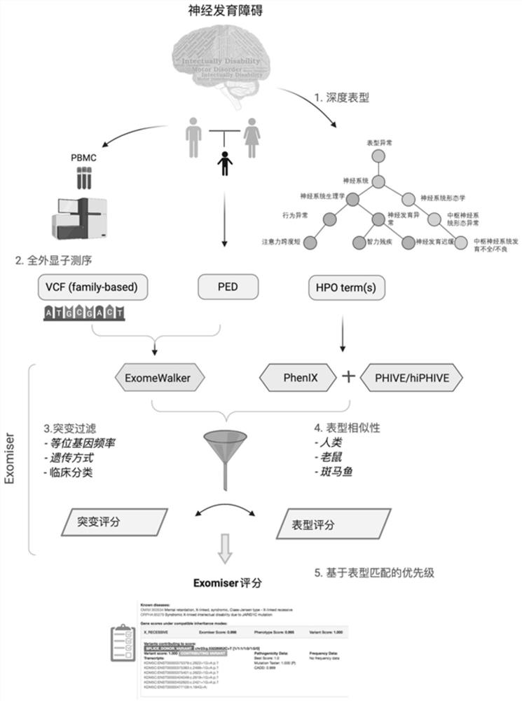 Evaluation method for judging rare hereditary diseases