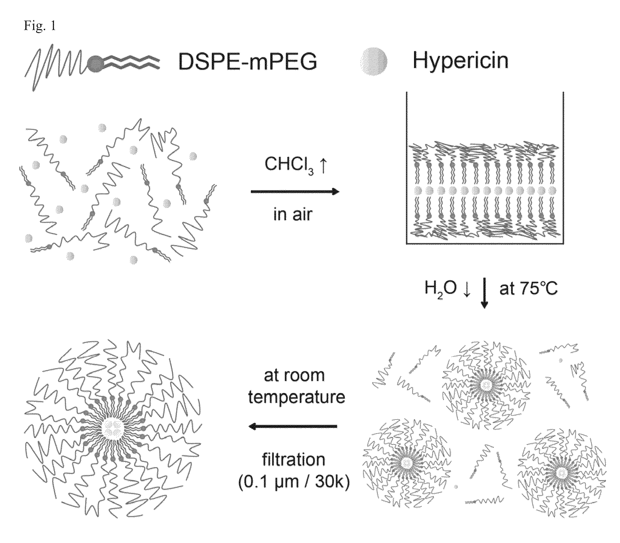 Micelle structure of nano preparation for diagnosis or treatment of cancer disease and preparation method thereof