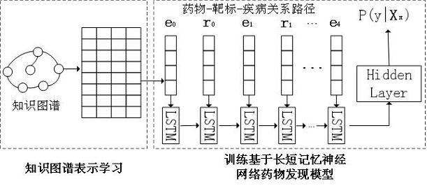 A drug identification method based on biomedical knowledge graph reasoning