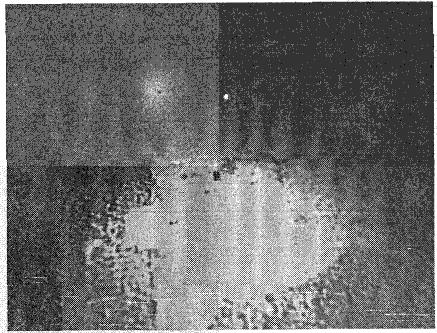 Quantifying method for intense light source to interfere imaging features of glimmer system