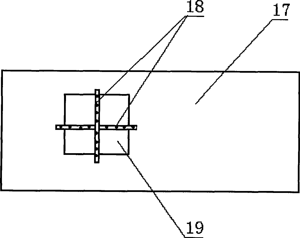 Crispy-rice rice-laying device