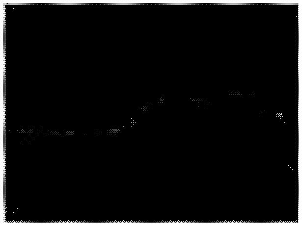 Sparse laser observation-based image depth estimation method