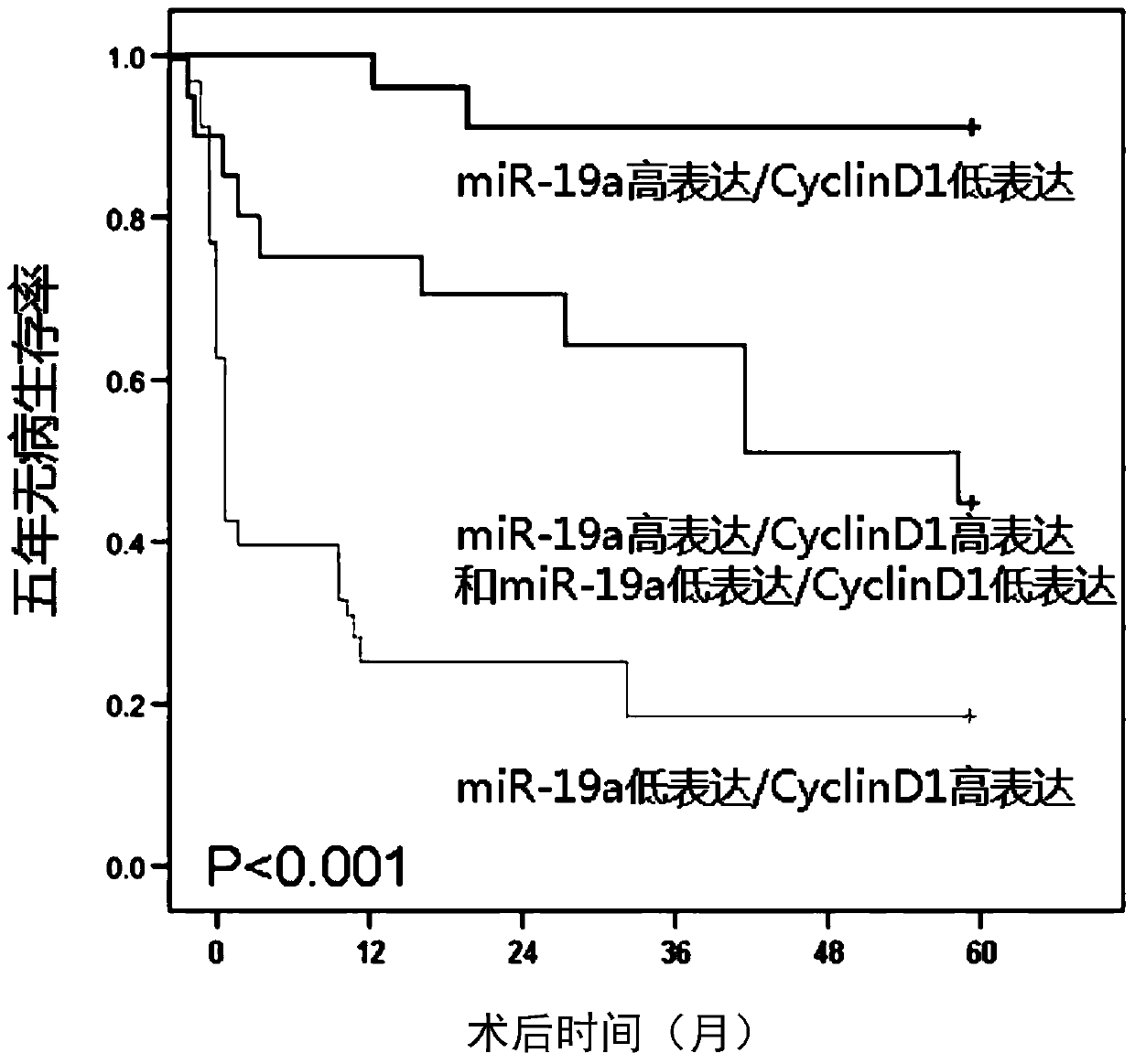 Use of a molecular marker detection substance in the preparation of a kit for detecting liver cancer