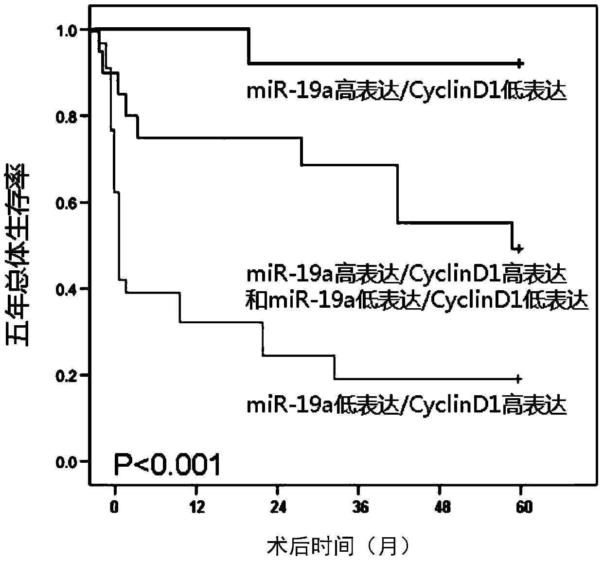 Use of a molecular marker detection substance in the preparation of a kit for detecting liver cancer