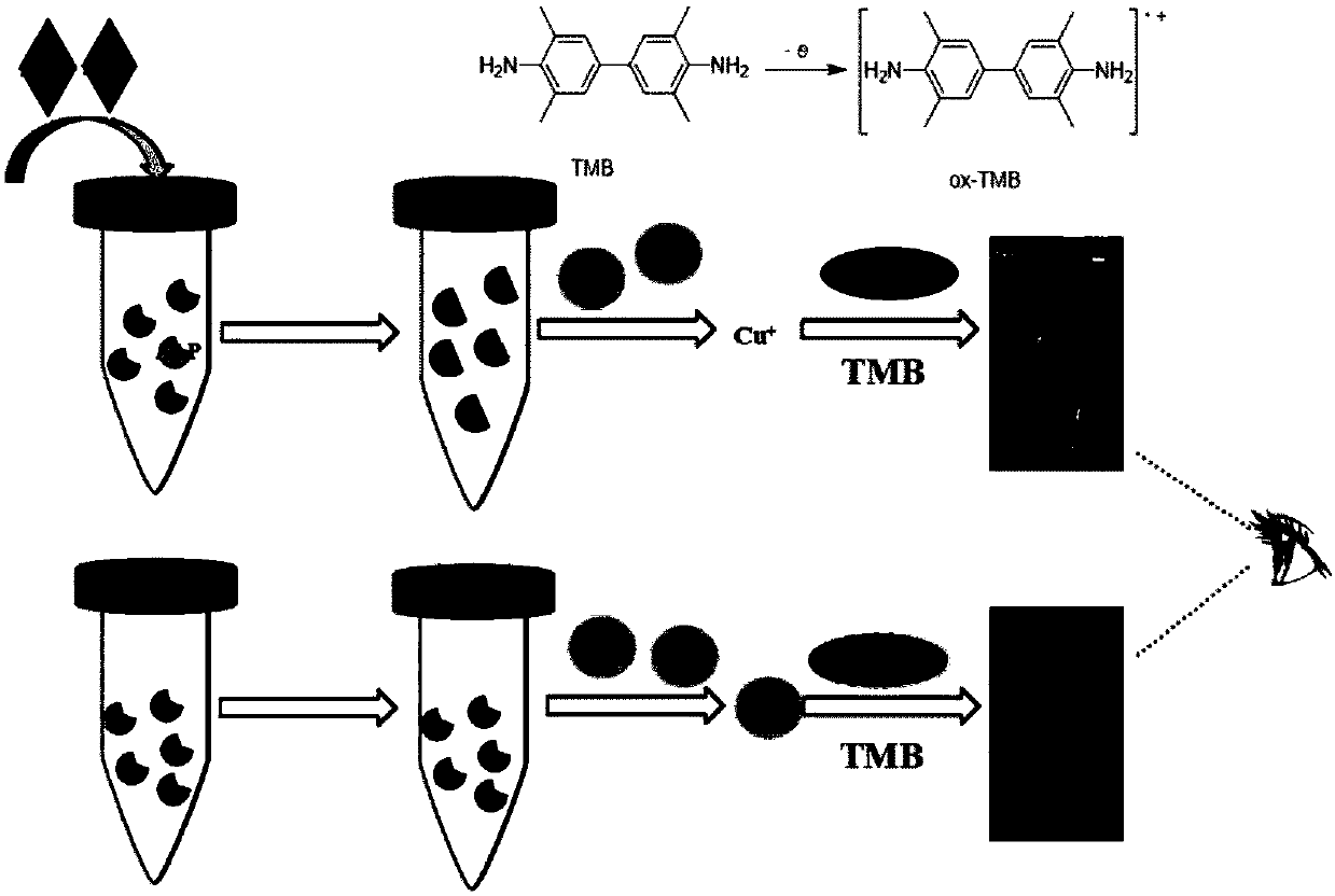 A method for detecting alkaline phosphatase