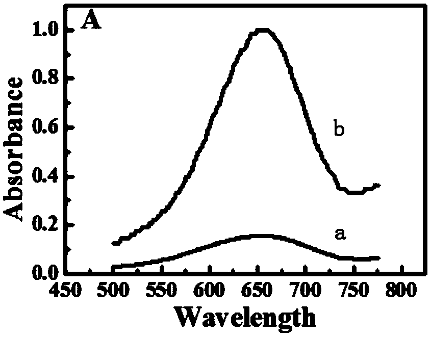 A method for detecting alkaline phosphatase