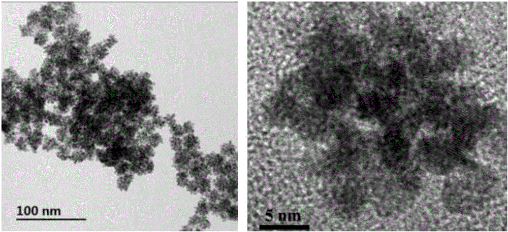 PtNi nano-alloy electrochemical sensor for detecting dopamine