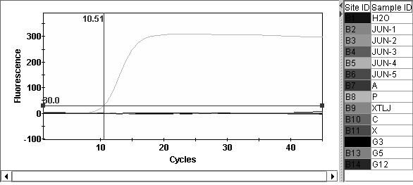 Primer, probe and method for real-time fluorescence polymerase chain reaction (PCR) detection of pear decline phytoplasma