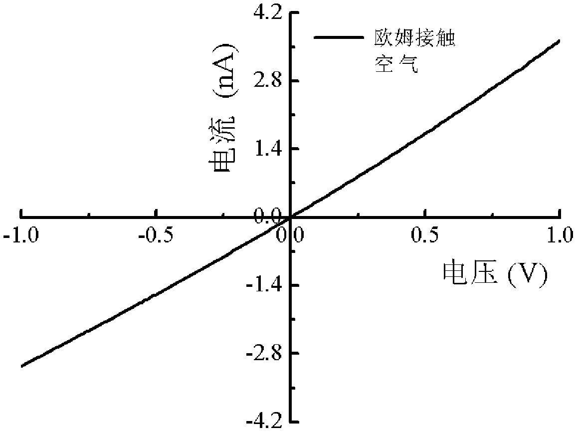 Pirani vacuum gauge of carbon nanotube and vacuum degree detection method thereof