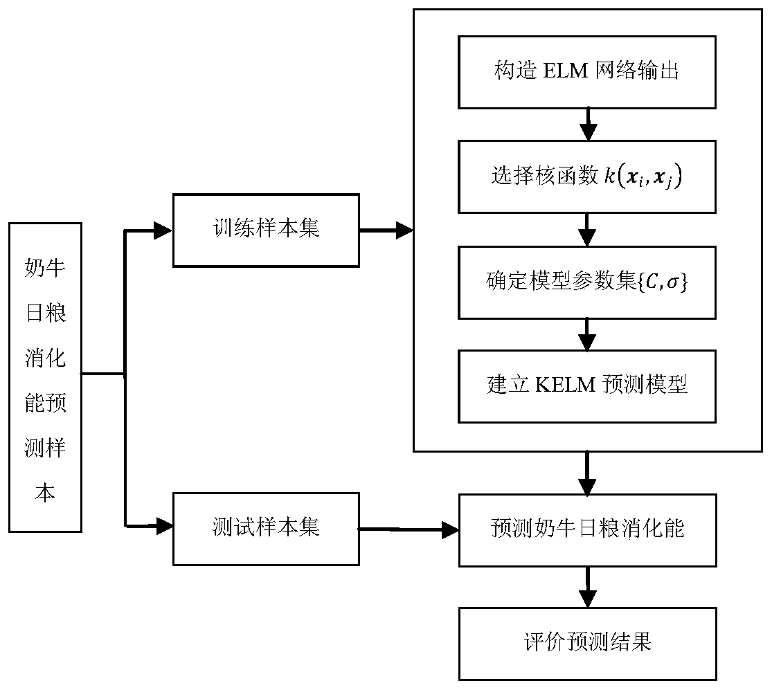 A dairy cow daily ration digestion energy prediction method based on a nuclear extreme learning machine