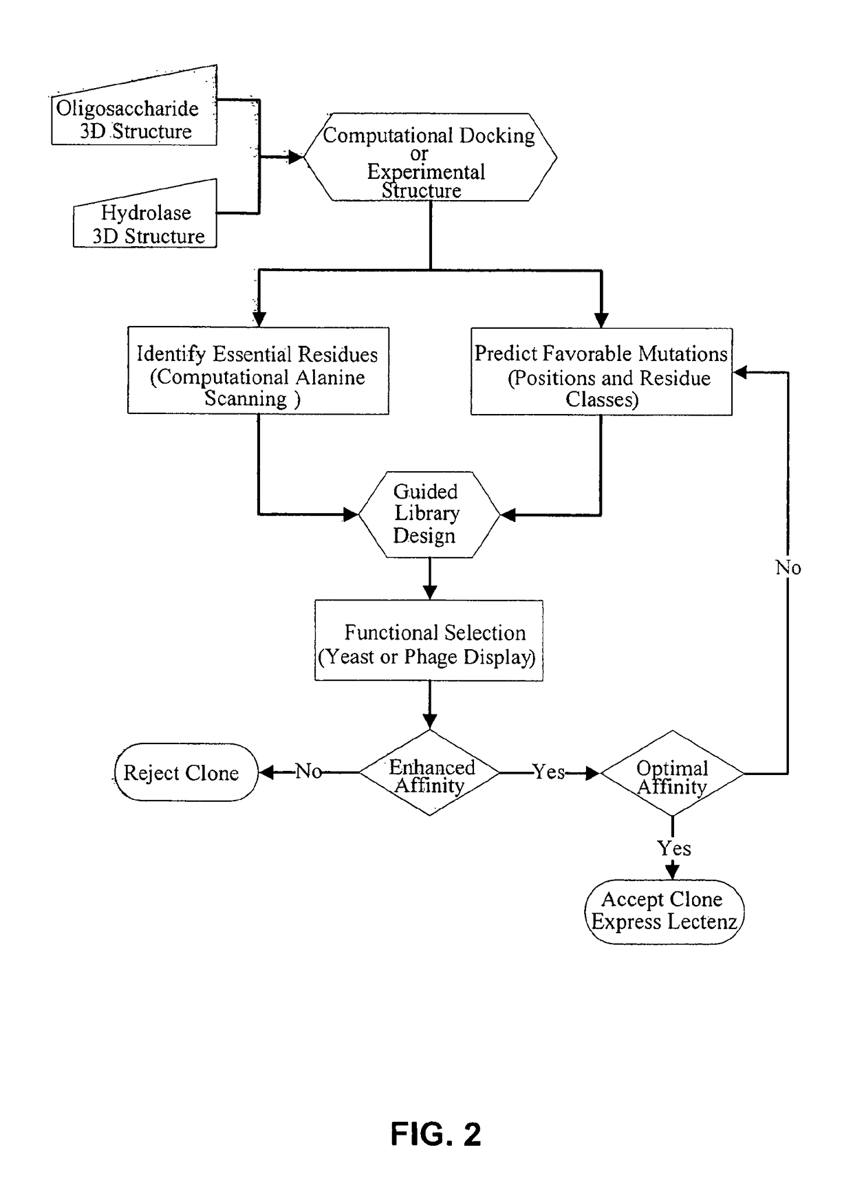 Glycan-specific analytical tools