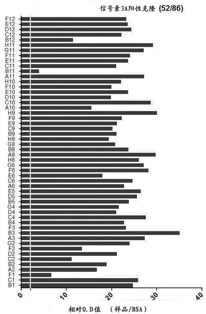 Antibodies cross-linked to human and mouse semaphorin 3a and uses thereof