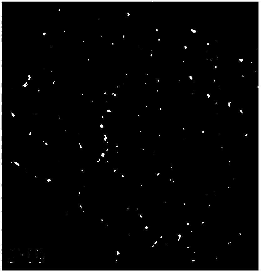 Method for preparing cyclohexane by catalyzing and hydrogenising benzene at room temperature