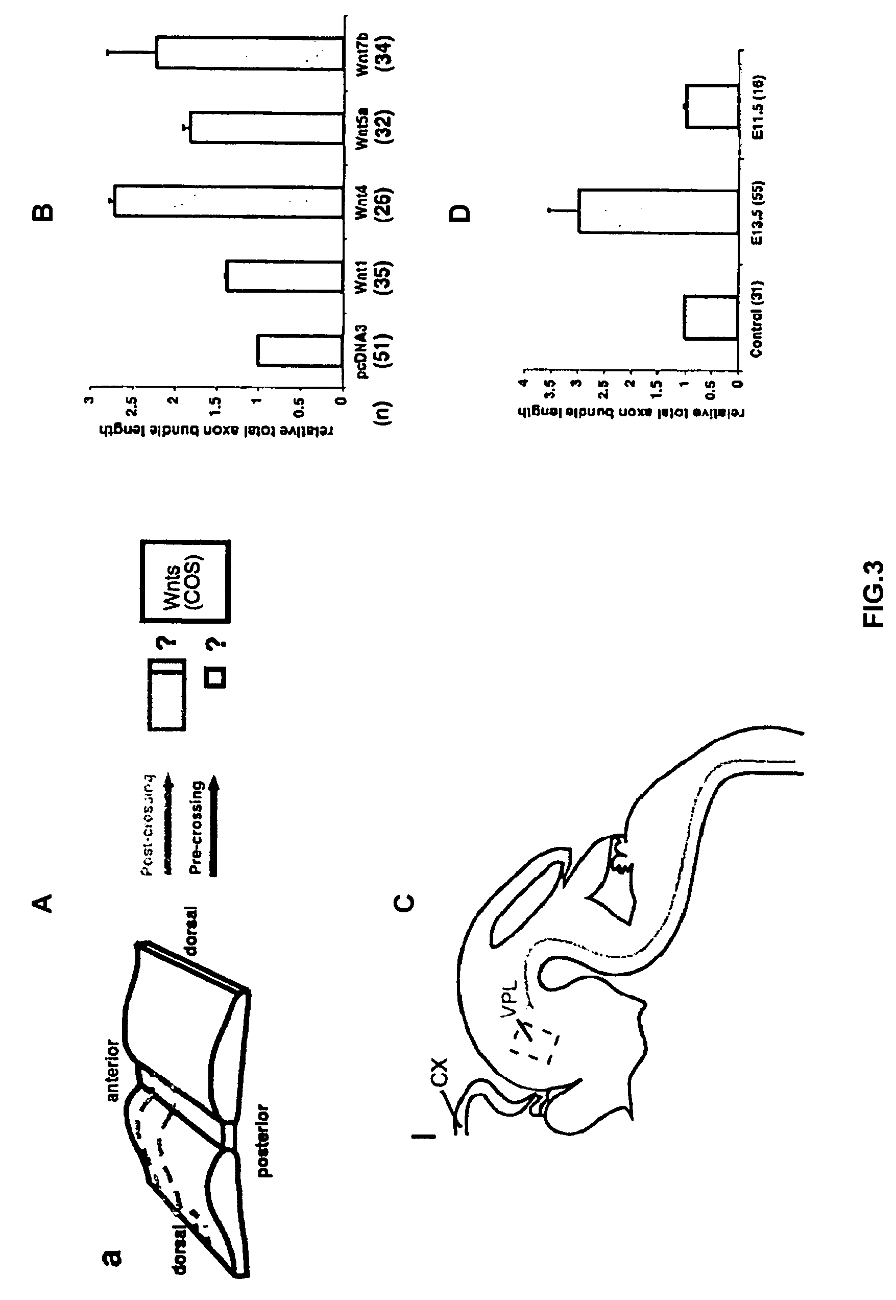 Methods and compositions for nerve regeneration