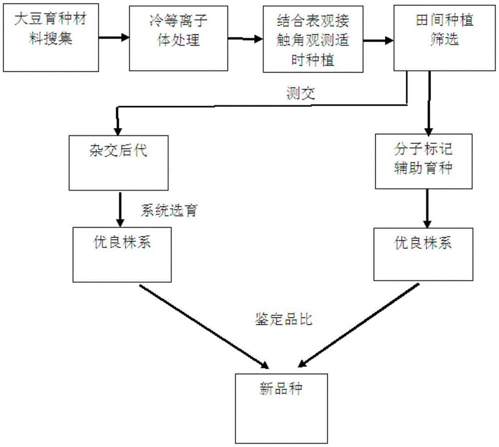 A kind of soybean breeding method treated by cold plasma