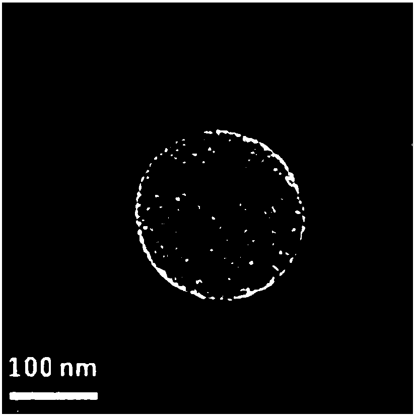 Ethylenediamine cationic albumin antitumor nanoparticle as well as preparation method and application thereof