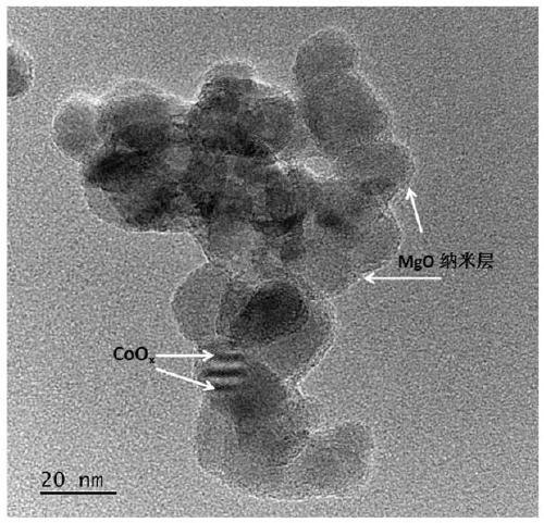 Composite photocatalyst and application thereof