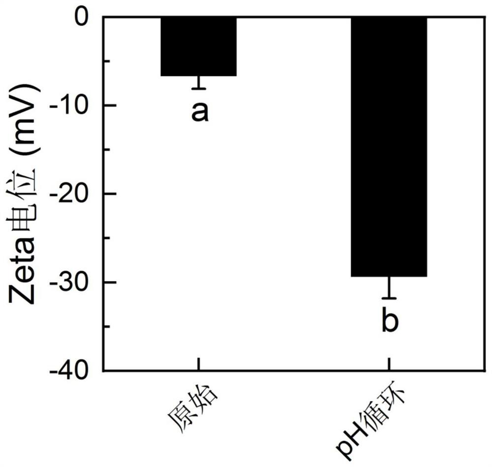 Methods to improve the triboelectric output performance of protein membranes by changing protein structures