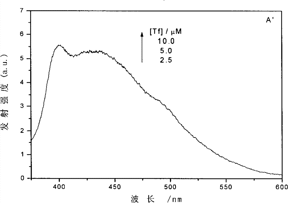 Mixture solution containing conjugate of transferrin and quercetin and use thereof