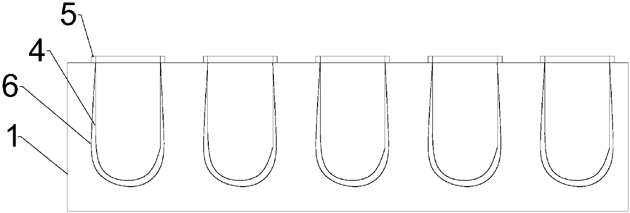 Method for raising seedlings of star anise by cutting