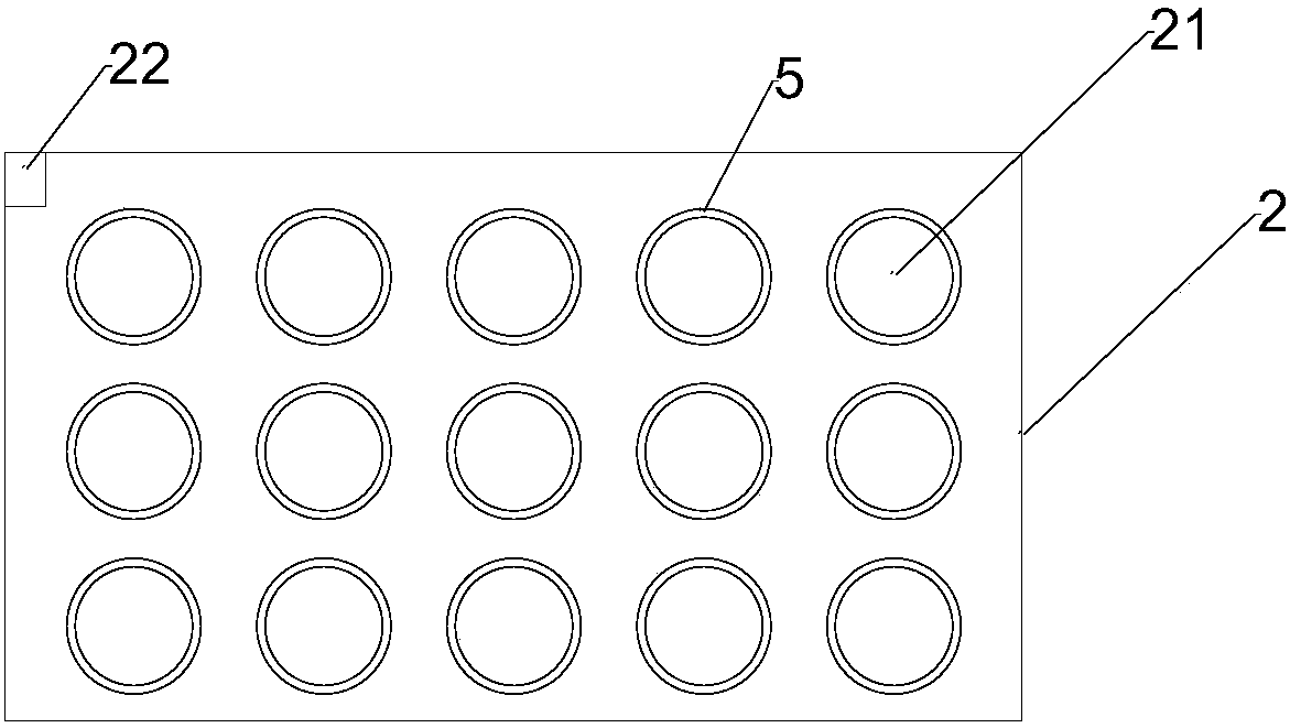 Method for raising seedlings of star anise by cutting