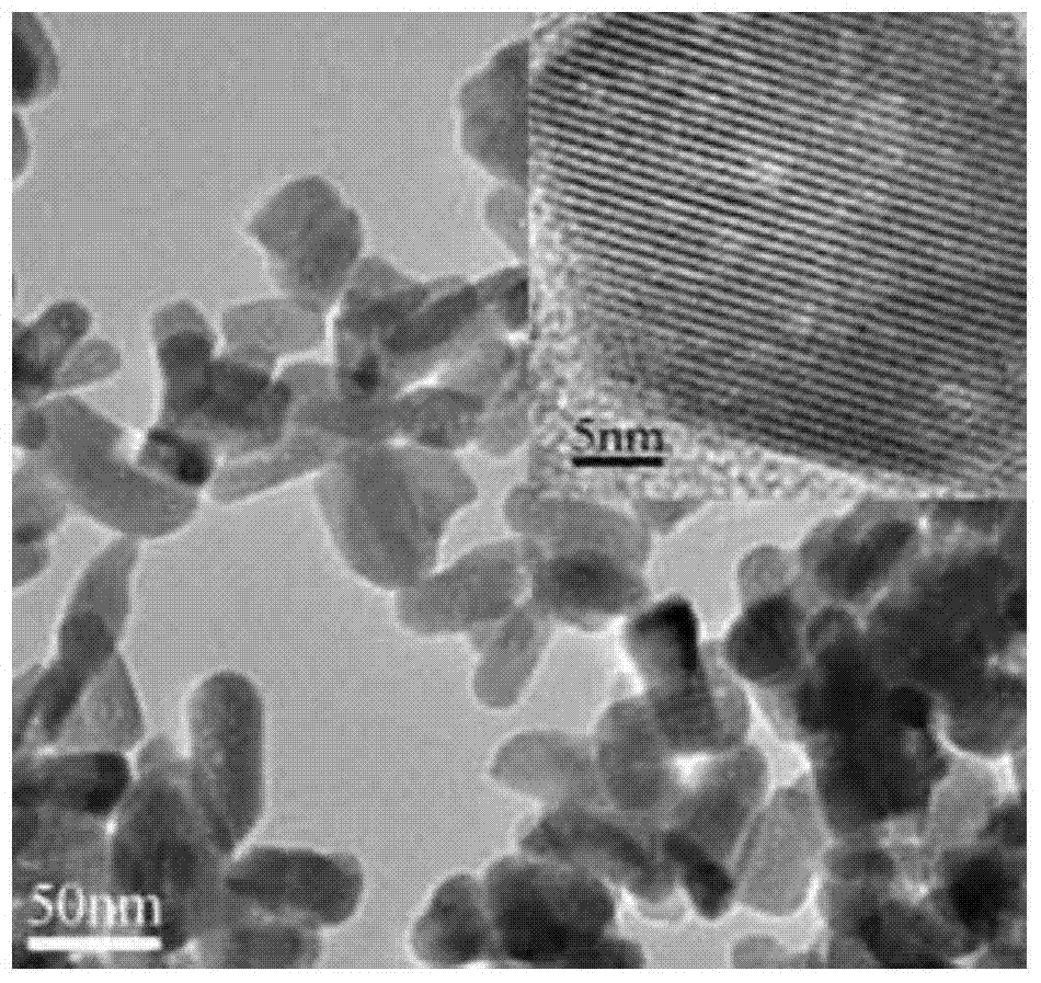 Preparation method of a mesoporous apatite nano drug carrier with reduction responsiveness and cell targeting to liver cancer cells