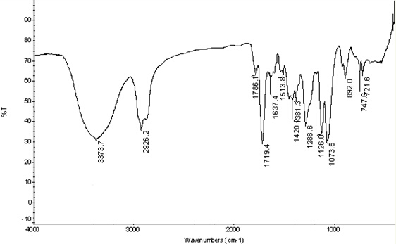 Method for efficiently degrading solid waste of polyurethane coating