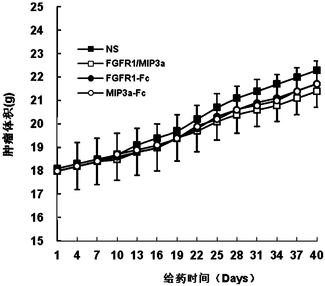 Application of FGFR1-MIP3 Alpha/Fc fusion protein in preparation of targeted anti-breast cancer drugs