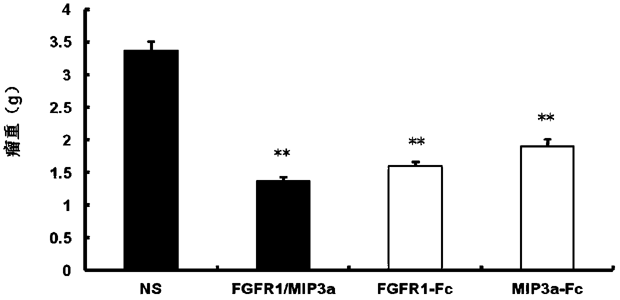 Application of FGFR1-MIP3 Alpha/Fc fusion protein in preparation of targeted anti-breast cancer drugs