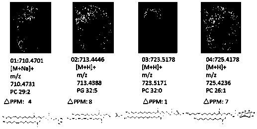 Biochemical sample in-situ processing device and mass spectrometry imaging method for phosphorylated proteins