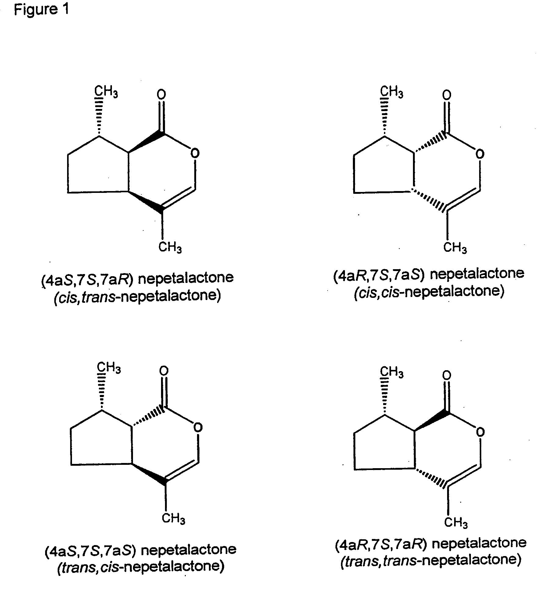 Insect repellent compounds