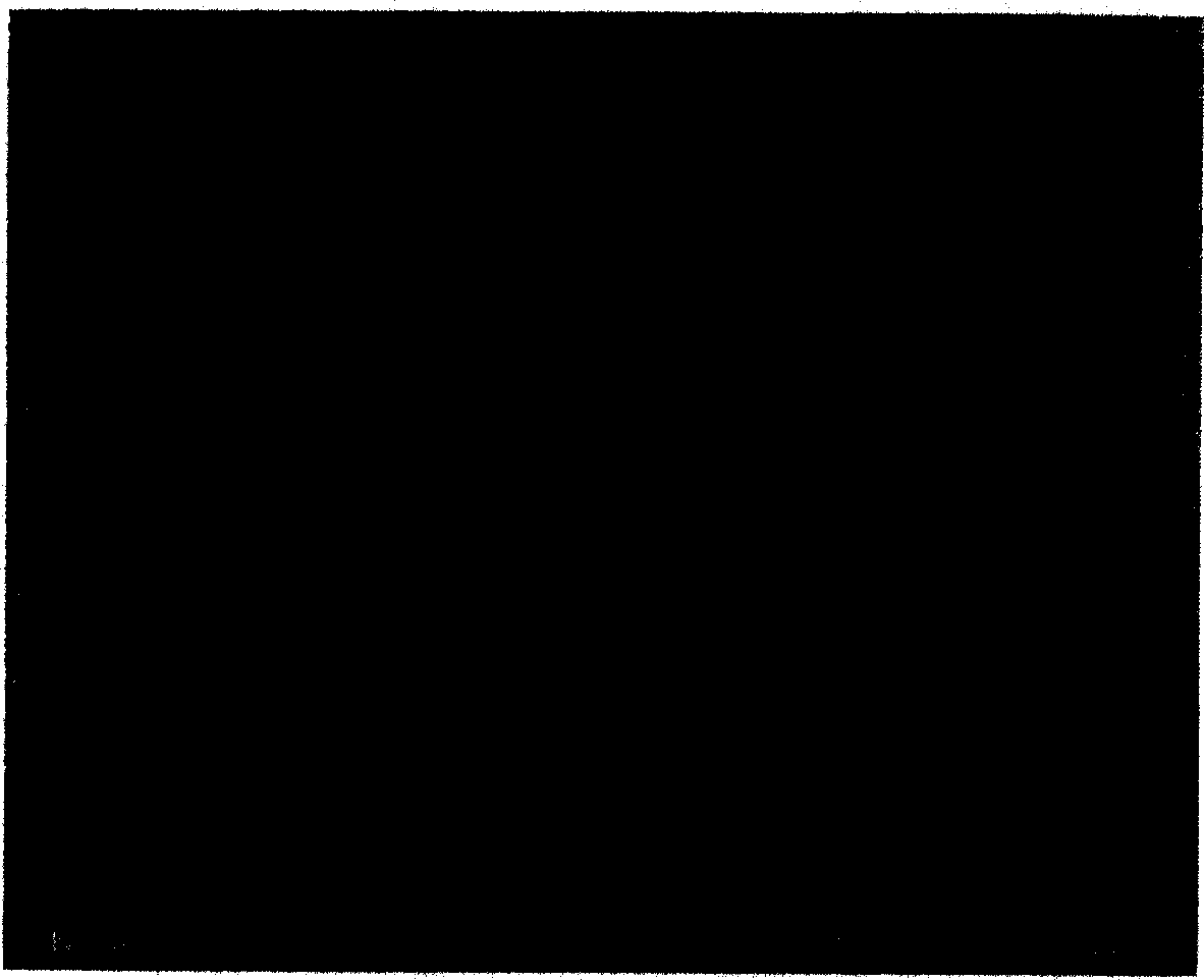 Polymer colloid photon crystal membrane with photon band-gap position in middle infrared region and preparation method and usage thereof