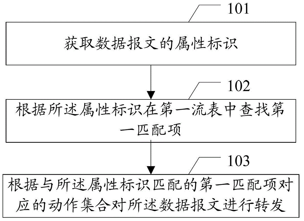 Data message forwarding method and device