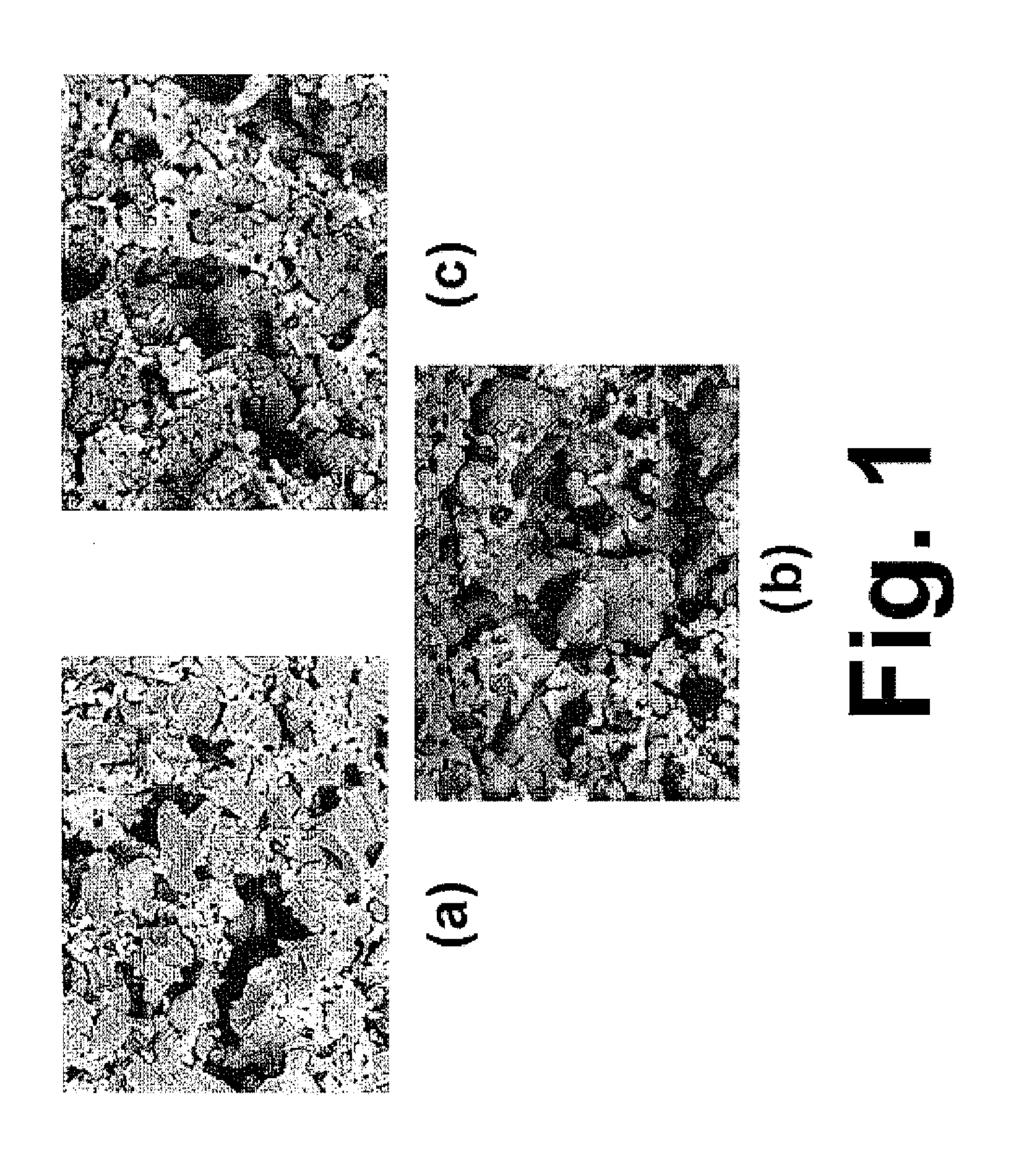 Preconditioning treatment to enhance redox tolerance of solid oxide fuel cells