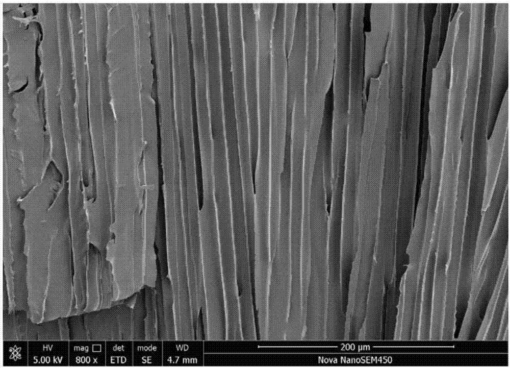 Anisotropic polyimide aerogel material and preparation method thereof