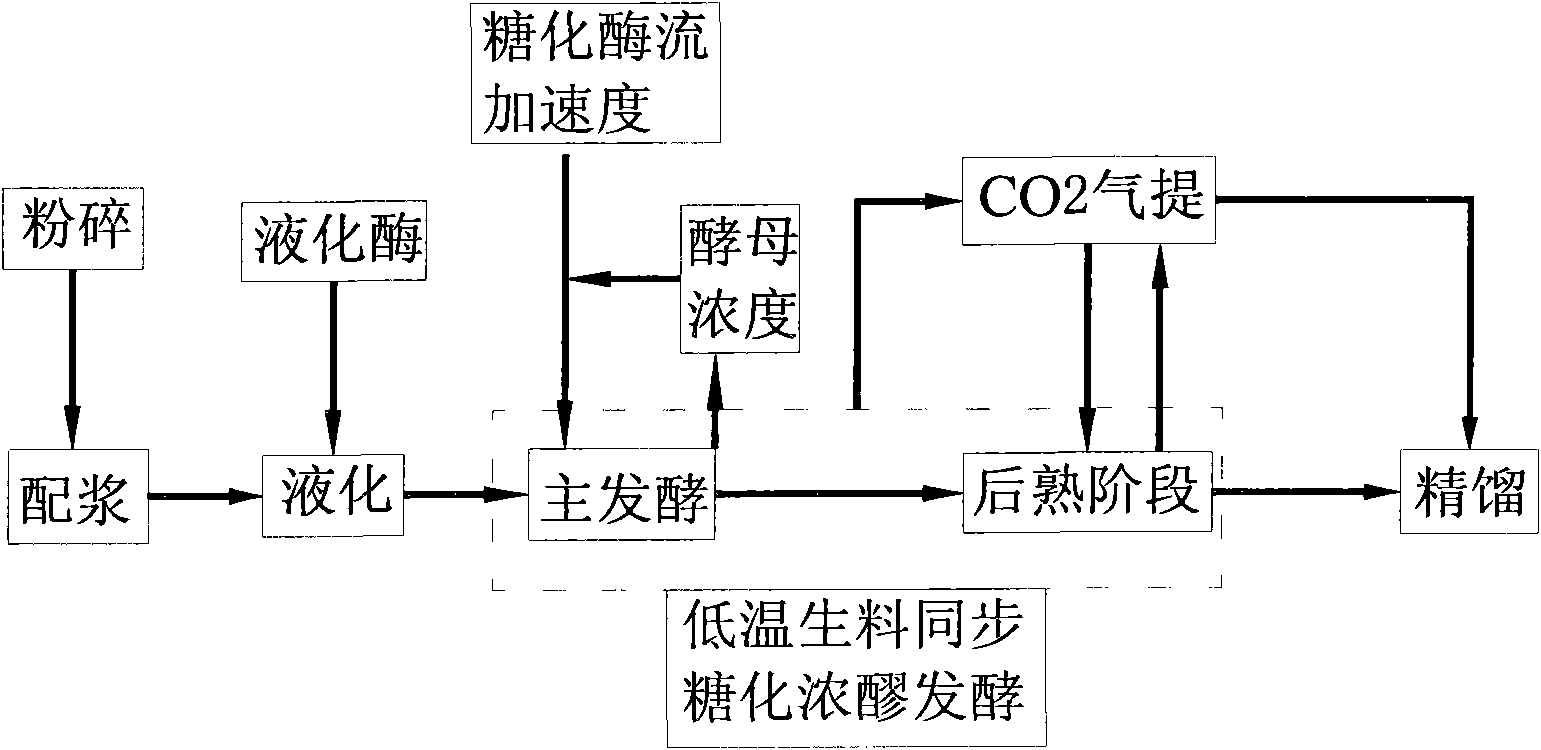 Method for producing ethanol by fermenting raw thick mash at low temperature